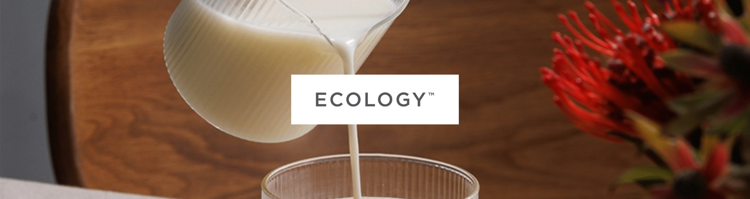 ecology-banner ecology-banner