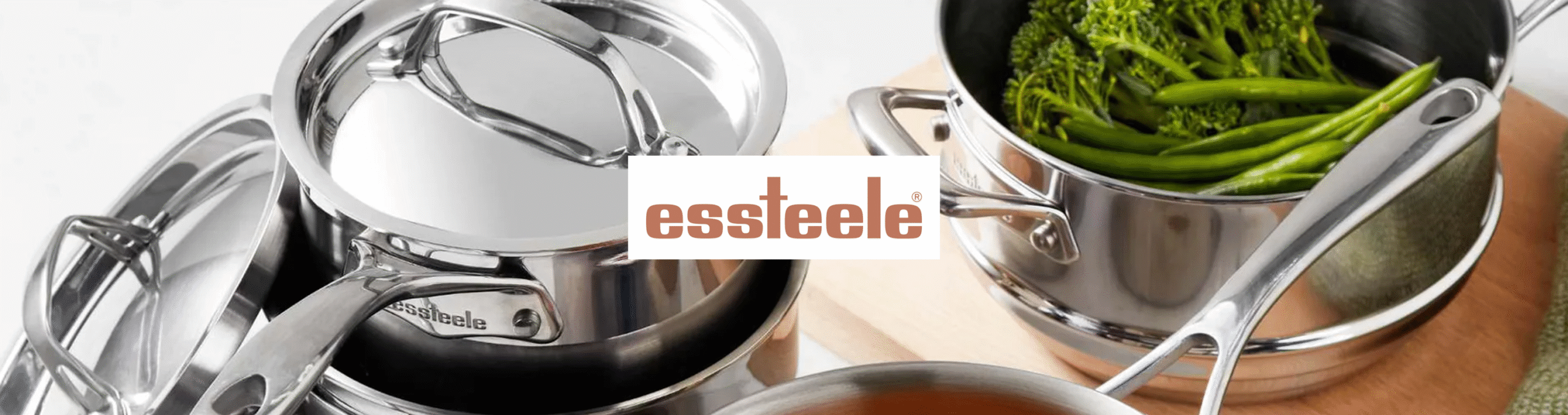 essteele-banner essteele-banner