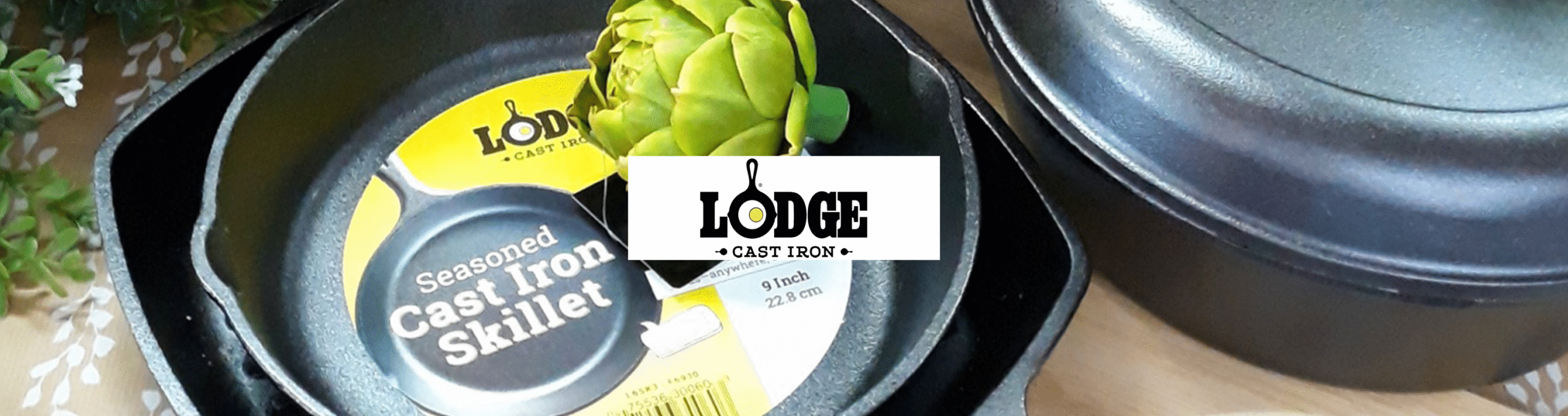lodge-banner