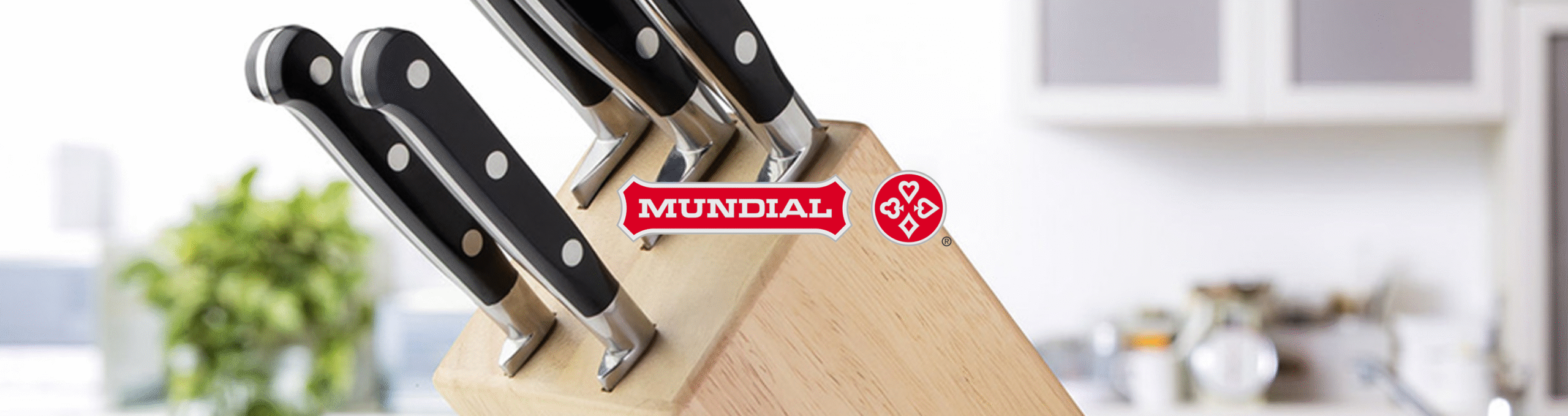 mundial-banner