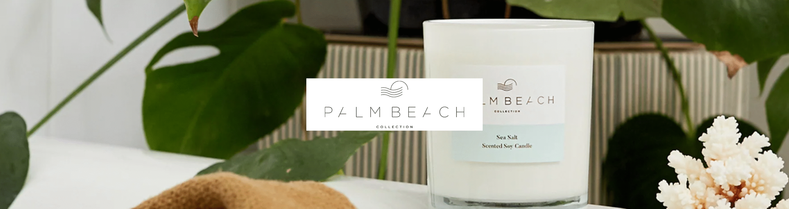 palm-beach-banner
