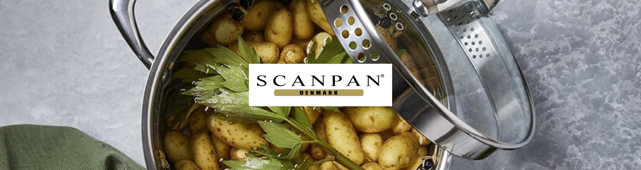 scanpan-sts-banner